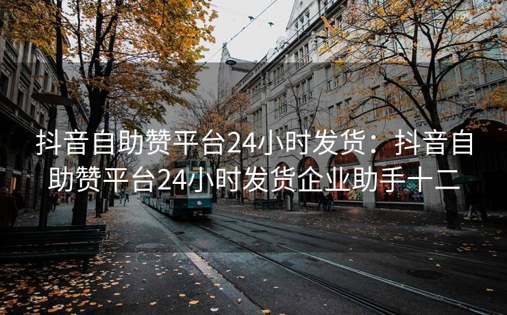 抖音自助赞平台24小时发货:抖音自助赞平台24小时发货企业助手十二