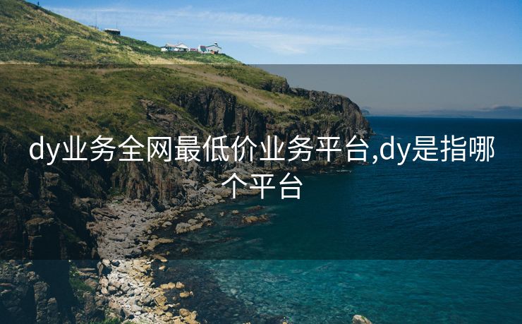 dy业务全网最低价业务平台,dy是指哪个平台