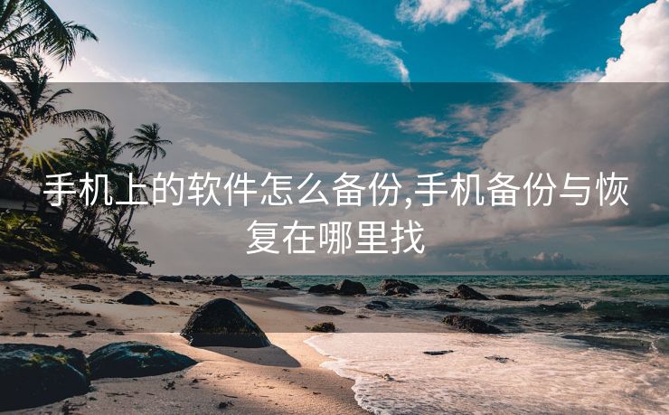手机上的软件怎么备份,手机备份与恢复在哪里找