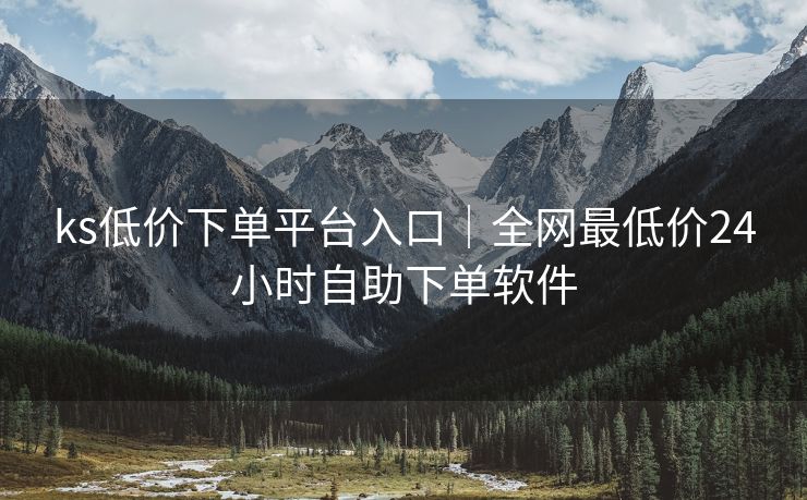 ks低价下单平台入口｜全网最低价24小时自助下单软件