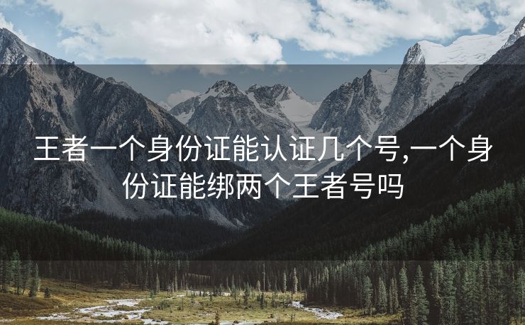 王者一个身份证能认证几个号,一个身份证能绑两个王者号吗