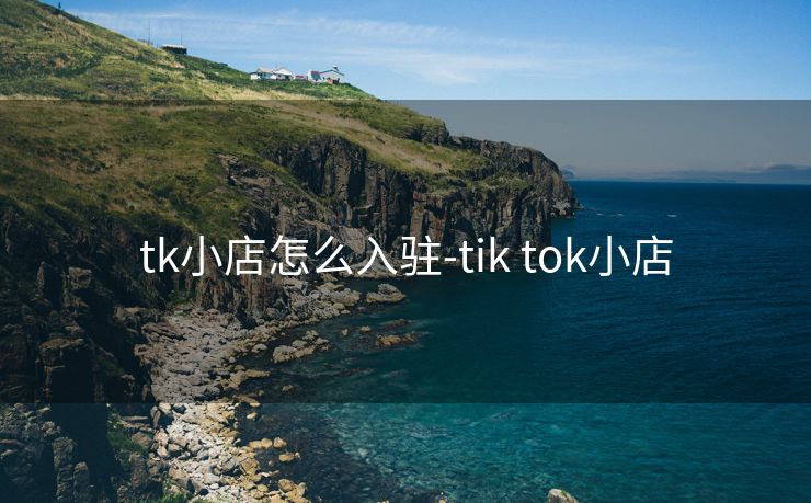 tk小店怎么入驻-tik tok小店