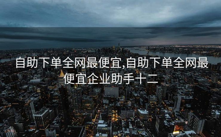 自助下单全网最便宜,自助下单全网最便宜企业助手十二