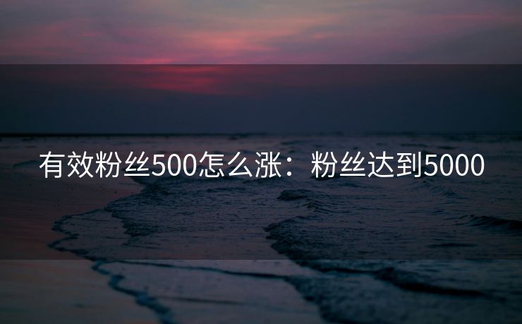 有效粉丝500怎么涨：粉丝达到5000