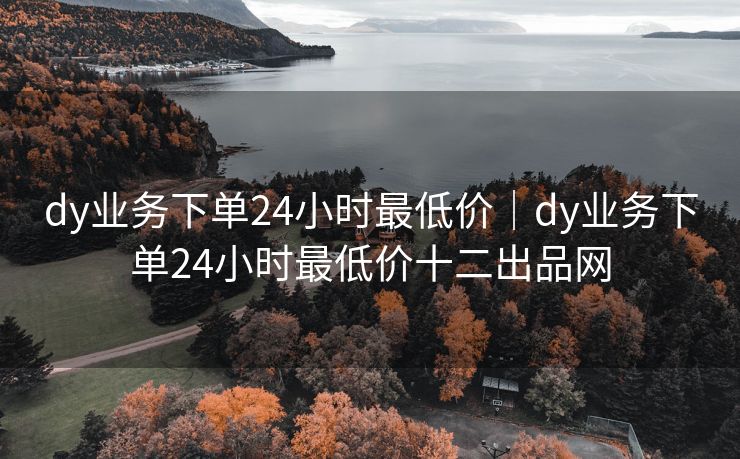 dy业务下单24小时最低价｜dy业务下单24小时最低价十二出品网