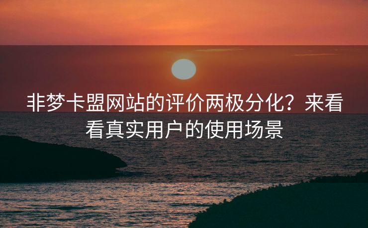 非梦卡盟网站的评价两极分化?来看看真实用户的使用场景