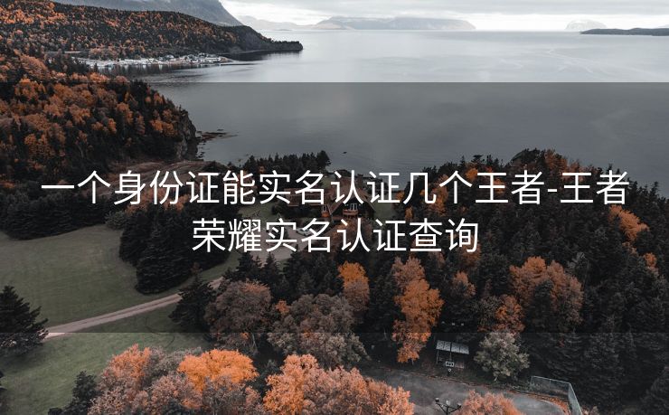 一个身份证能实名认证几个王者-王者荣耀实名认证查询