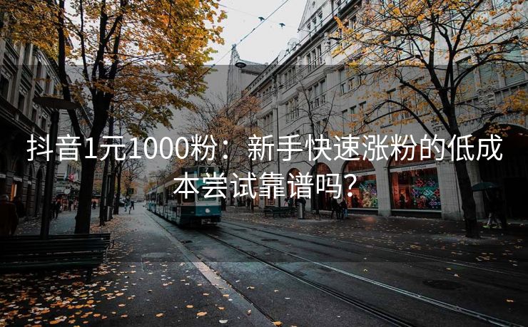 抖音1元1000粉:新手快速涨粉的低成本尝试靠谱吗?