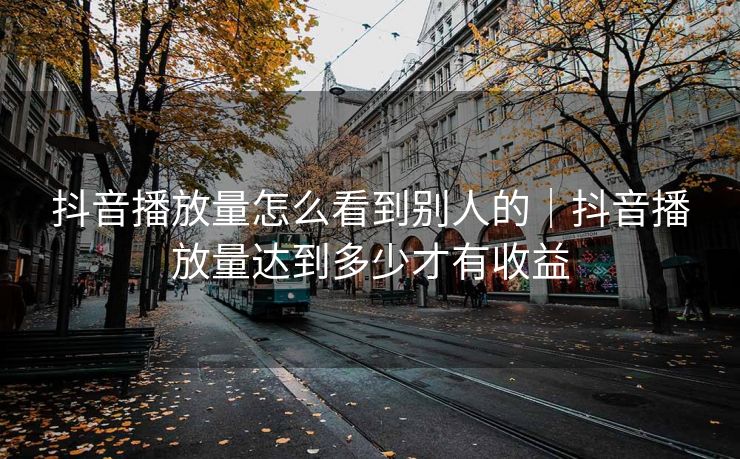抖音播放量怎么看到别人的｜抖音播放量达到多少才有收益
