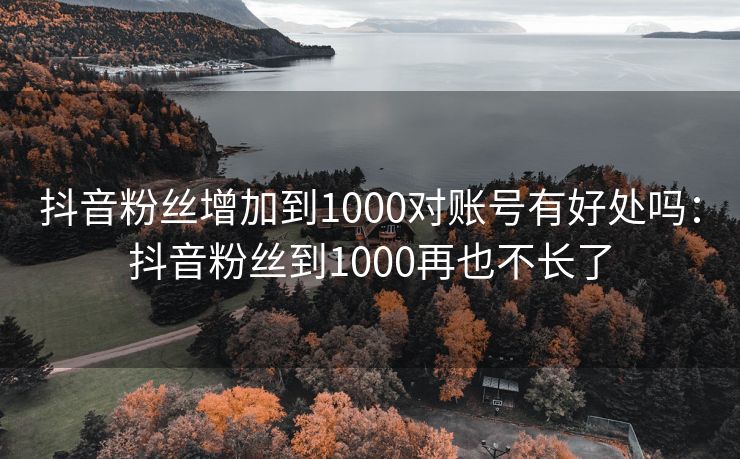 抖音粉丝增加到1000对账号有好处吗：抖音粉丝到1000再也不长了