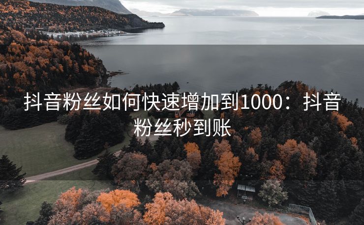 抖音粉丝如何快速增加到1000：抖音粉丝秒到账