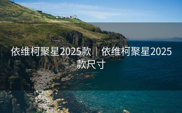 依维柯聚星2025款｜依维柯聚星2025款尺寸