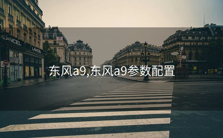 东风a9,东风a9参数配置
