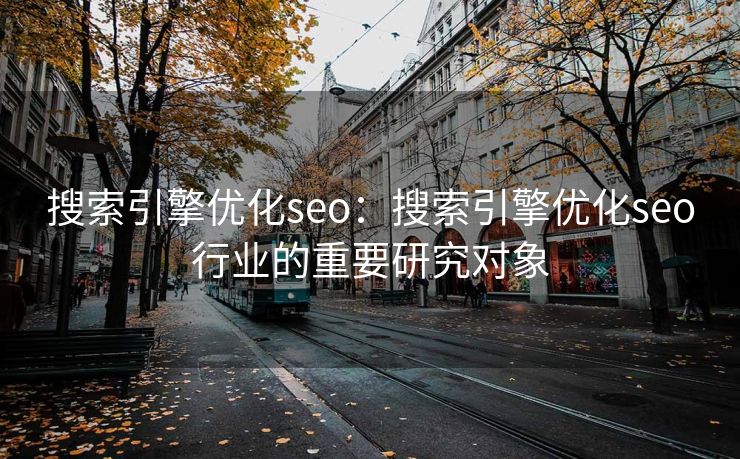 搜索引擎优化seo：搜索引擎优化seo行业的重要研究对象