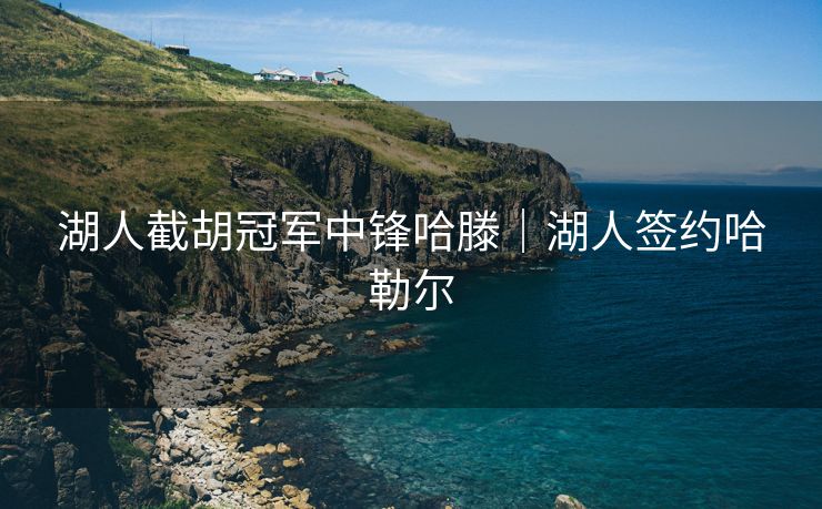 湖人截胡冠军中锋哈滕｜湖人签约哈勒尔