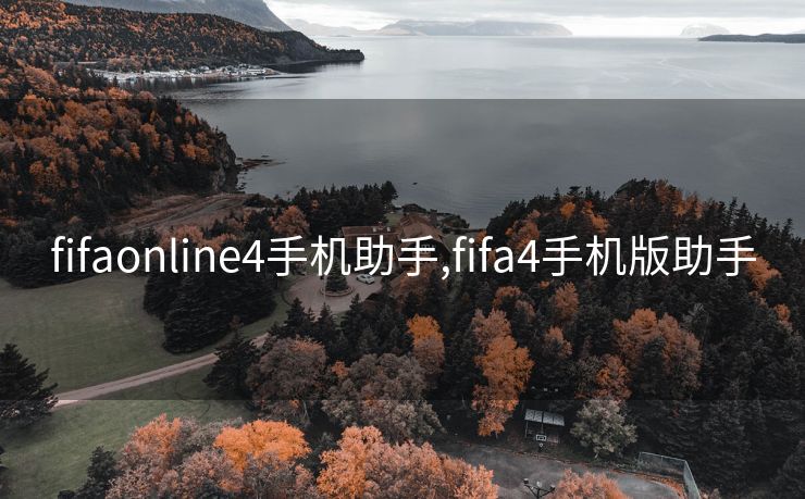 fifaonline4手机助手,fifa4手机版助手