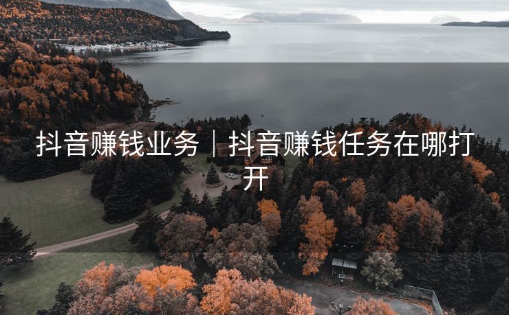 抖音赚钱业务|抖音赚钱任务在哪打开