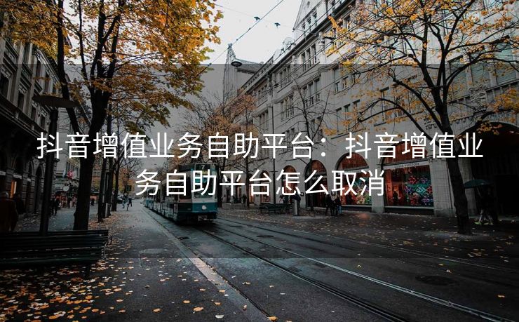 抖音增值业务自助平台：抖音增值业务自助平台怎么取消