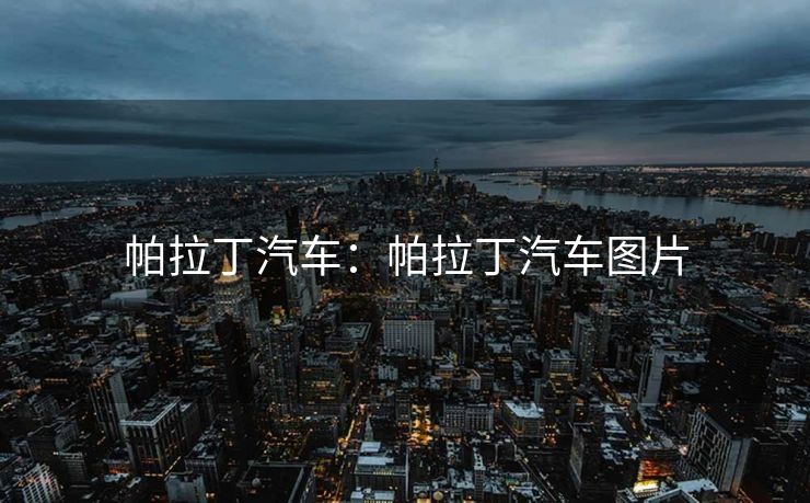 帕拉丁汽车：帕拉丁汽车图片