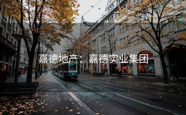 嘉德地产：嘉德实业集团