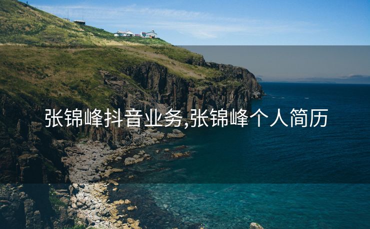 张锦峰抖音业务,张锦峰个人简历