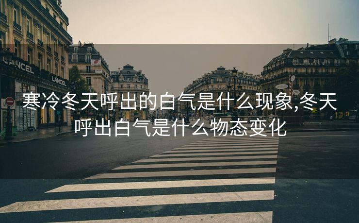 寒冷冬天呼出的白气是什么现象,冬天呼出白气是什么物态变化