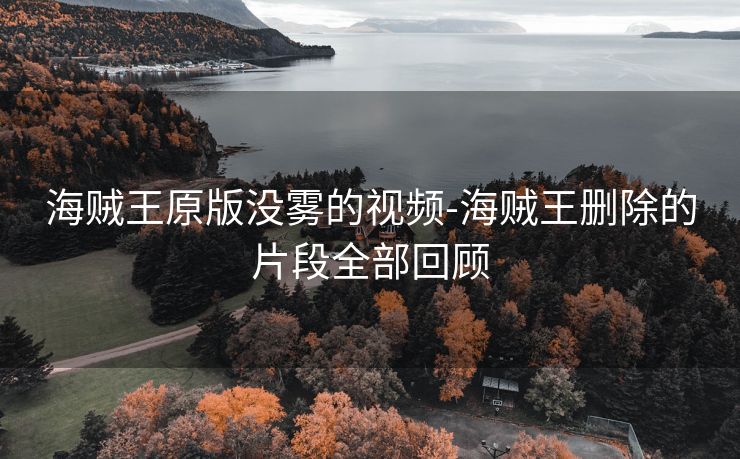 海贼王原版没雾的视频-海贼王删除的片段全部回顾