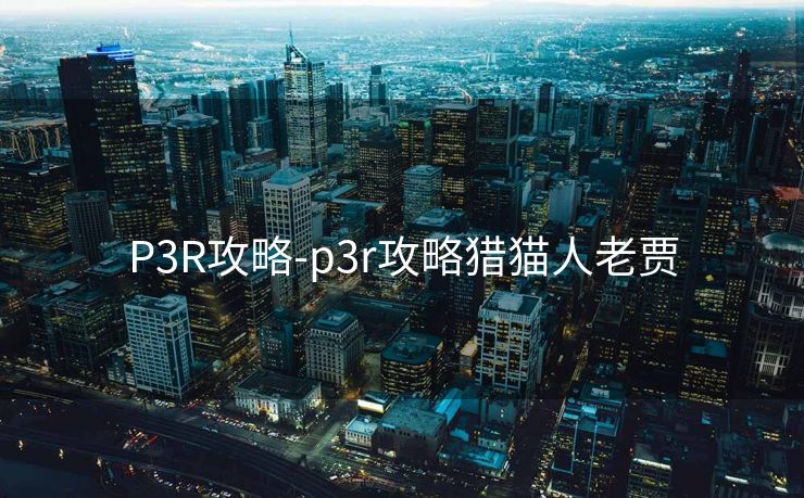 P3R攻略-p3r攻略猎猫人老贾